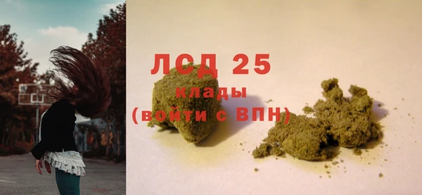 PSILOCYBIN Осинники