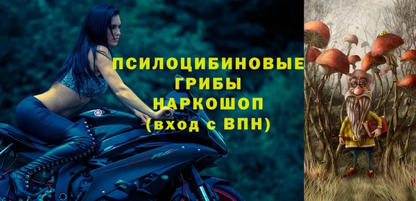 дурь Алексин