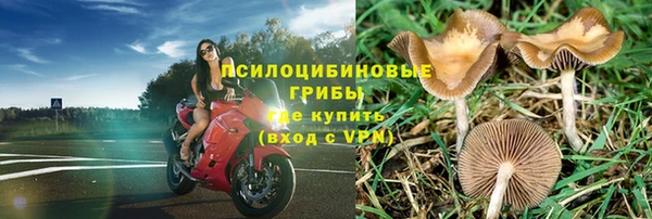 гидра Алексеевка
