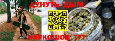 индика Партизанск