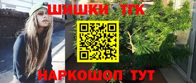 индика Партизанск