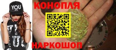 индика Партизанск